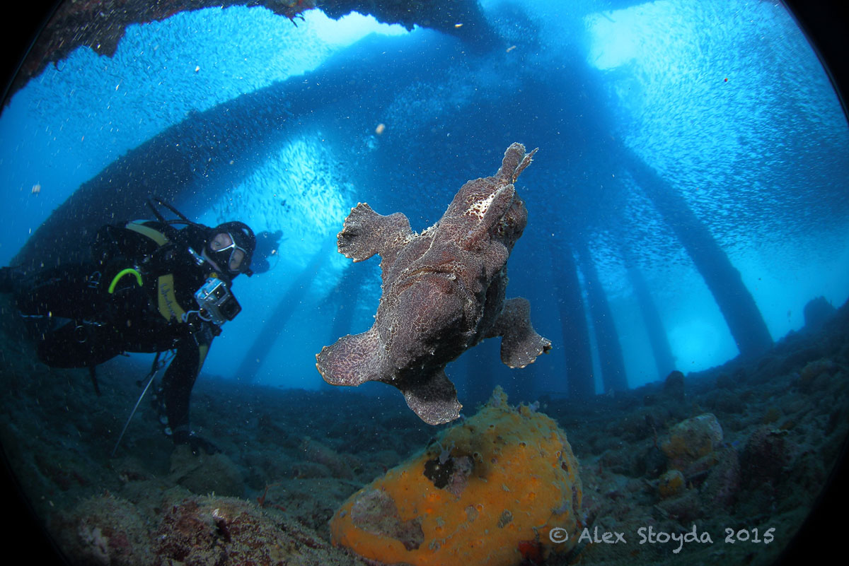 瓦延深潜体验（PADI潜水中心）