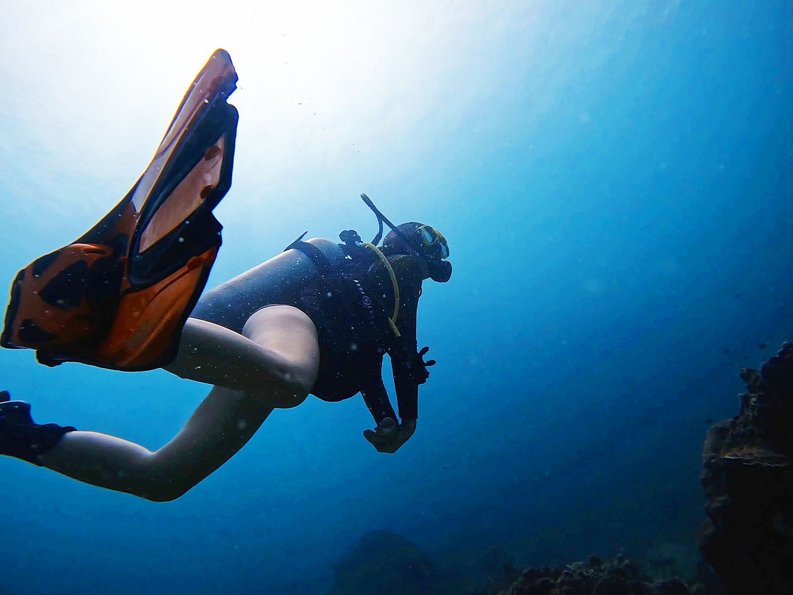 涛岛下午潜水之旅（PADI五星级潜水中心）