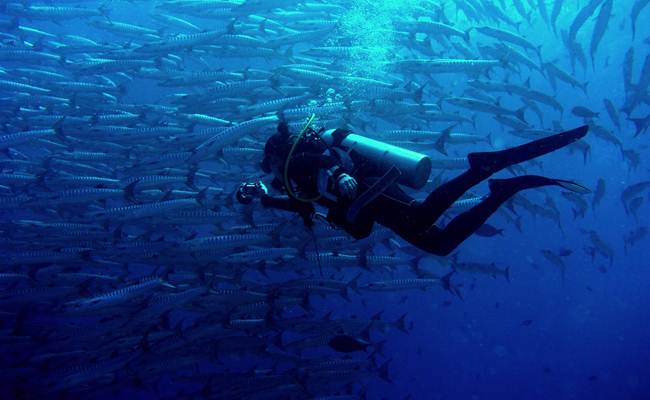 仙本那 PADI 五星潜水中心进阶潜水线上课程