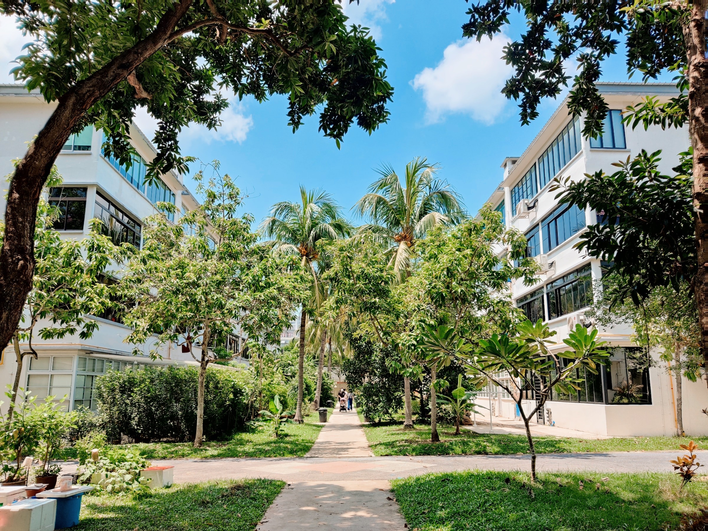 新加坡中峇鲁古老社区之旅