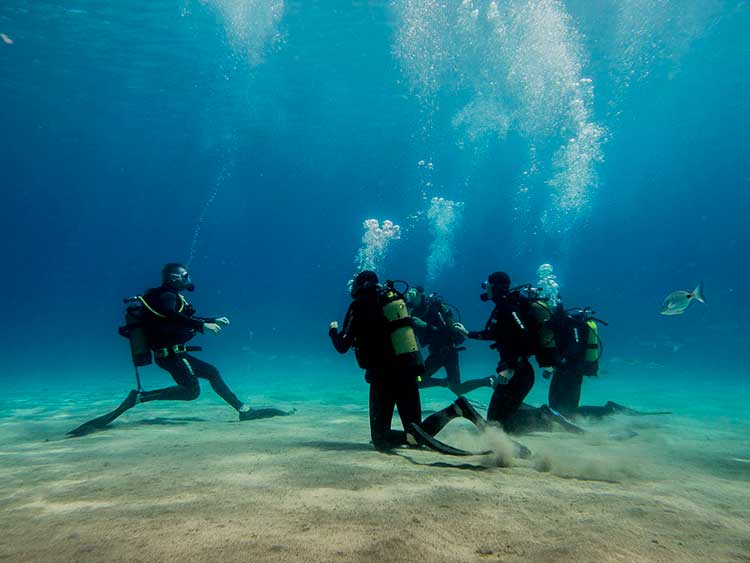 兰萨罗特岛的水下王国：PADI 5* 中心的开放水域潜水员