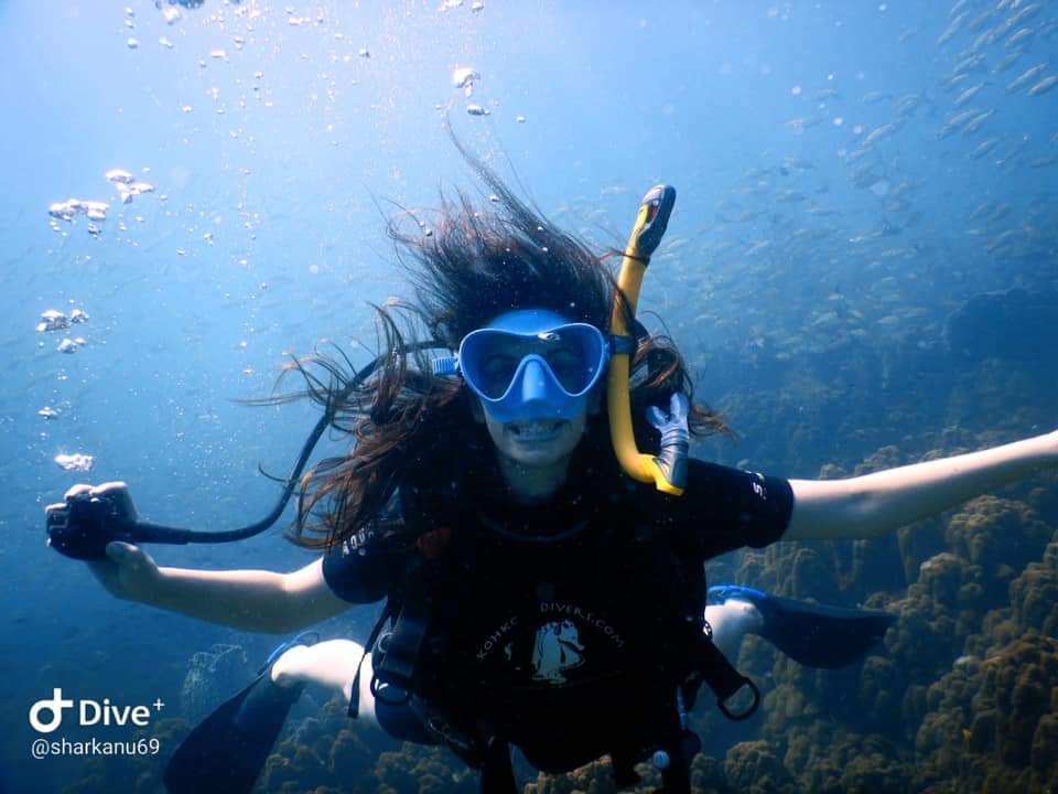 阁骨岛PADI开放水域潜水课程（PADI五星级潜水中心）