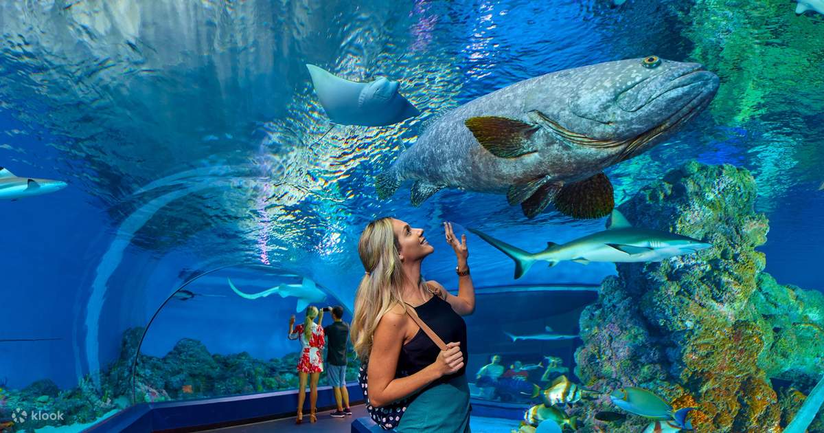 安塔利亚水族馆之旅（含门票＆接送）- 阿拉尼亚出发