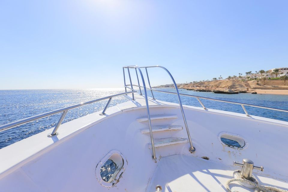 马卡迪湾：海豚观赏船之旅，含私人接送服务