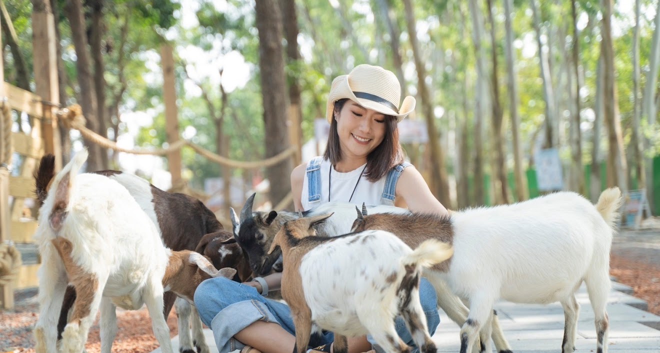 咩咩上树萌宠乐园门票