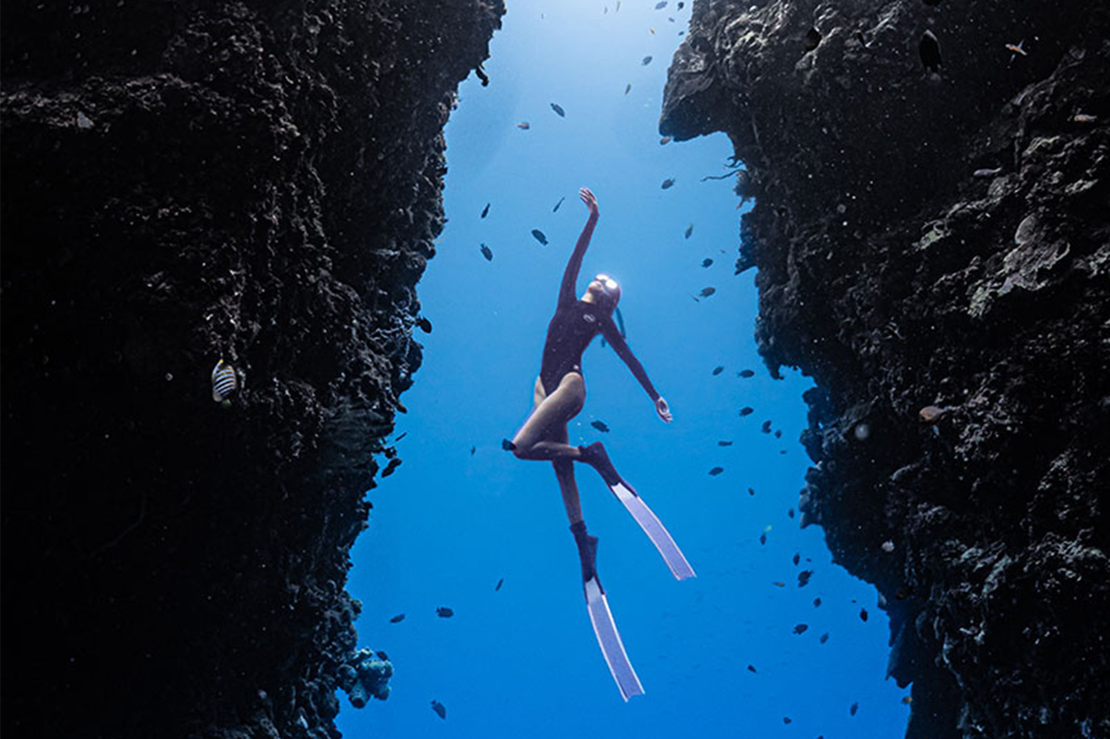 纳帕林礁自由潜水 & 沙丁鱼同游体验