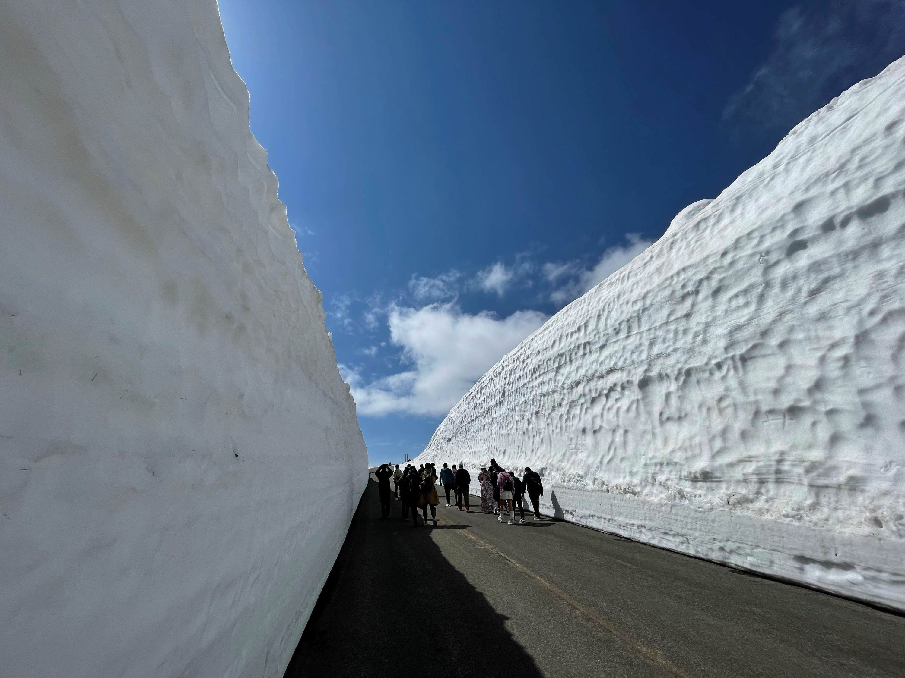 藏王雪墙＆樱花巴士一日游（含赏樱体验）