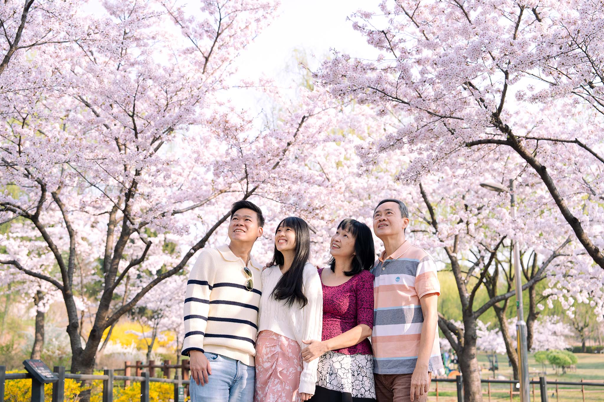 首尔观光拍照体验