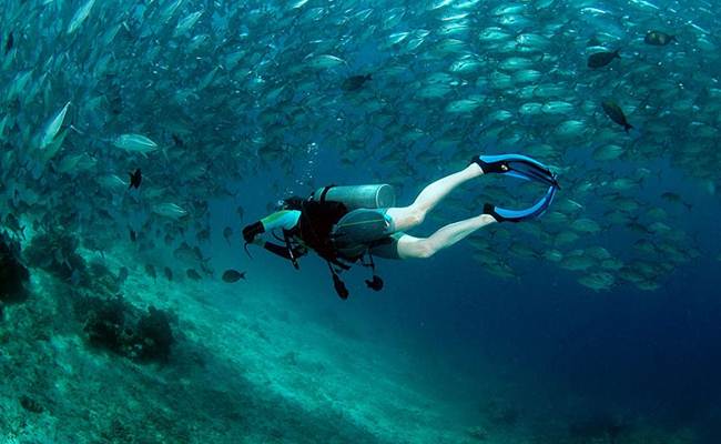 仙本那 PADI 五星潜水中心高氧空气潜水员课程