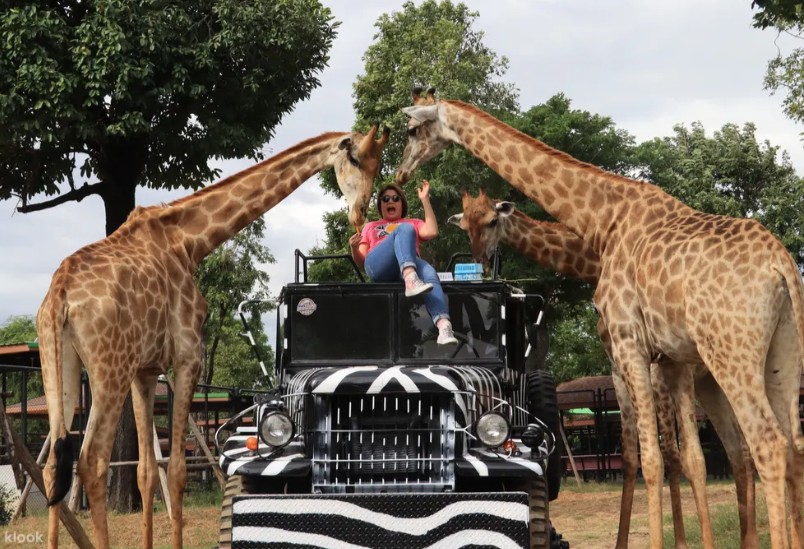 大城府寺庙 & 野生动物园 & 泰式服装之旅