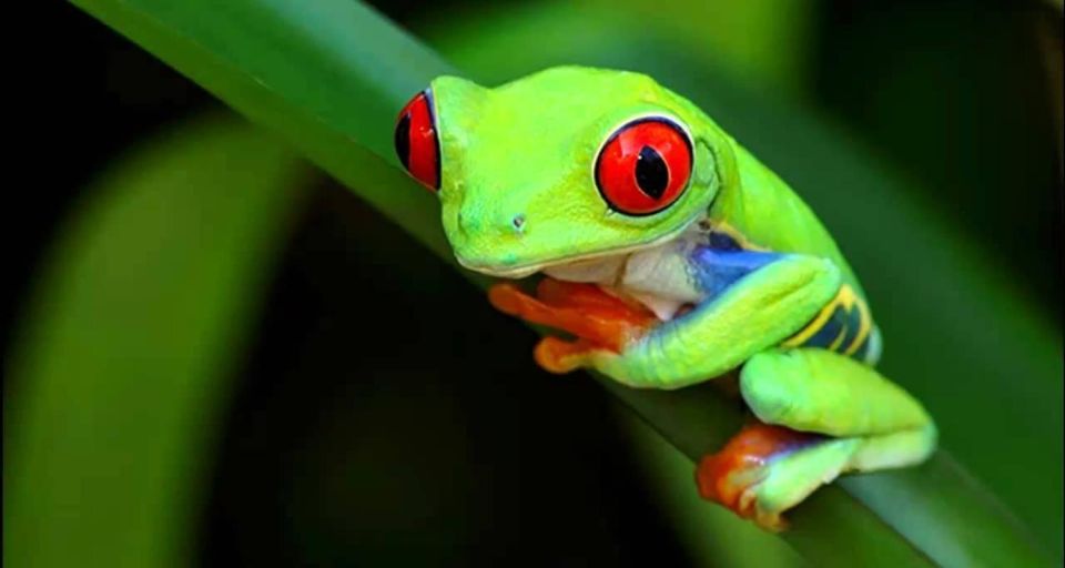 马努国家公园4日游