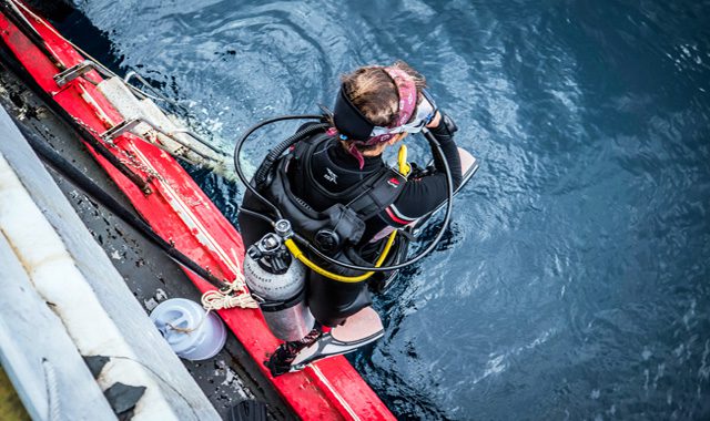 帕岸岛深潜高级课程（PADI五星级中心）