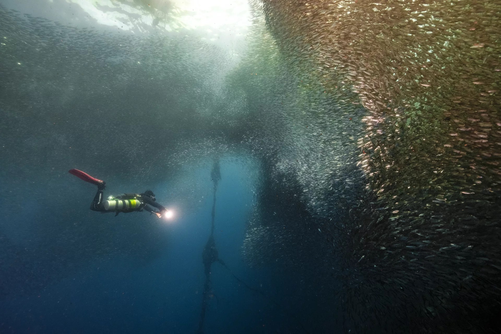 墨宝 PADI 五星潜水中心高氧空气潜水员线上课程