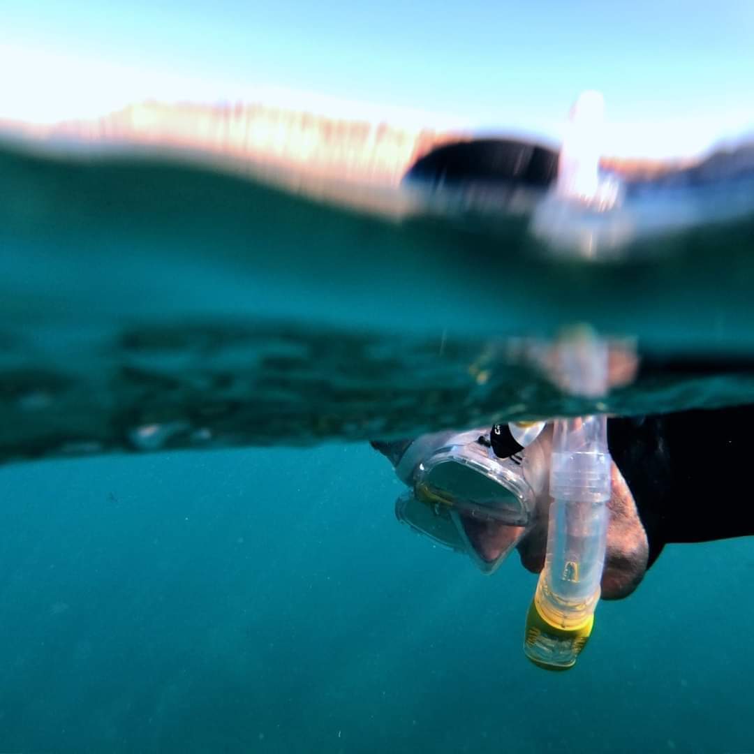 大加那利岛的海岸探索：PADI 5*中心浮潜之旅