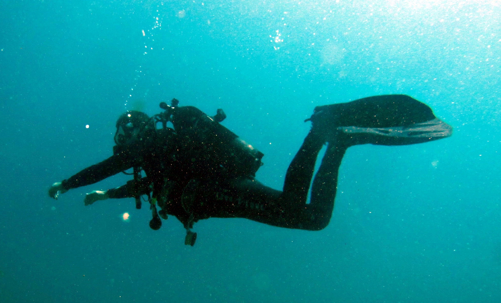 托萨德马尔的潜水精通：PADI高级课程 5* 中心