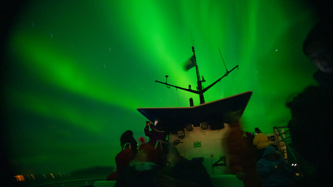 北极光乘船之旅（雷克雅未克出发）