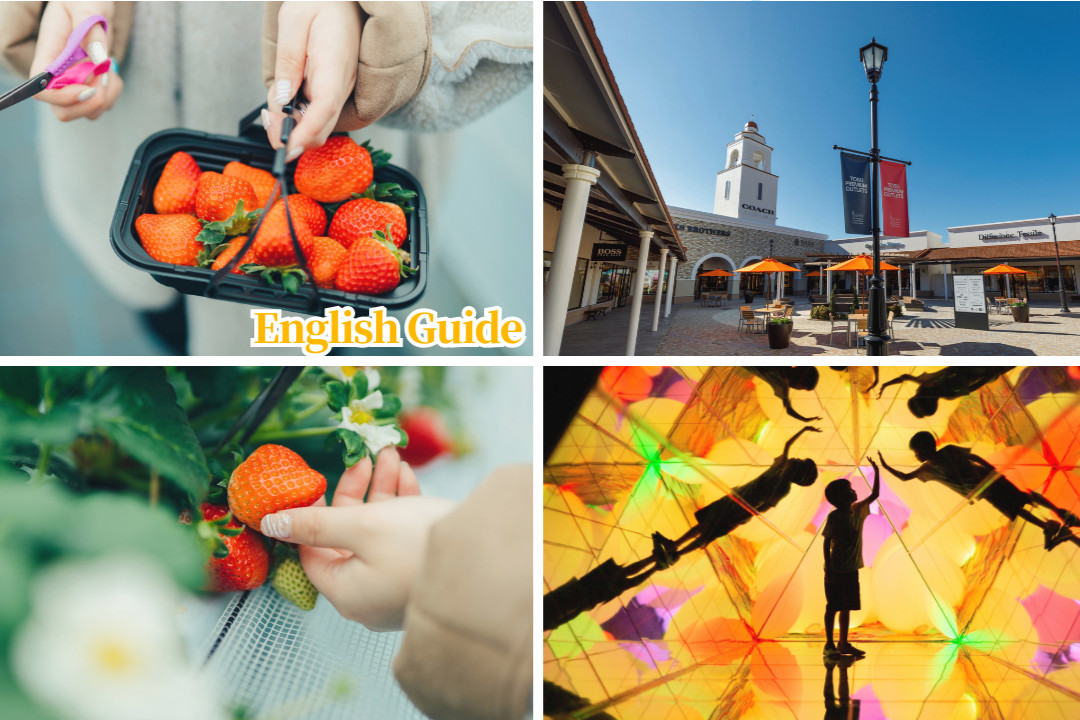 福冈一日游：采季节水果＆购物＆teamLab 森林福冈