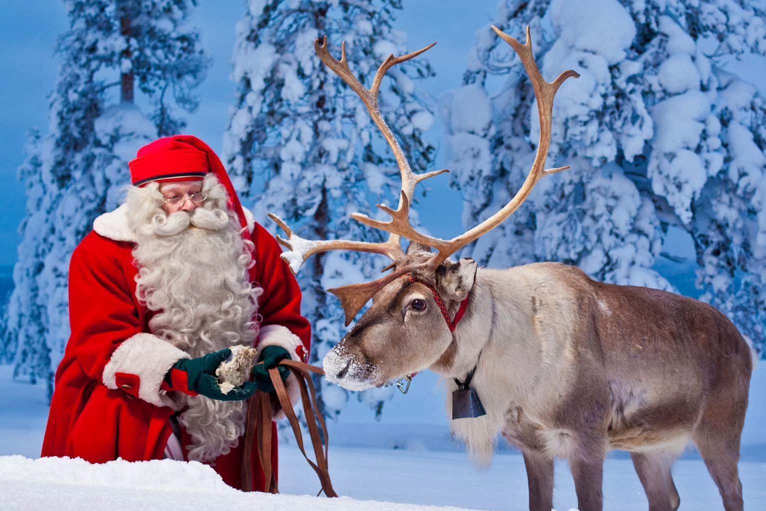 圣诞老人村之旅（罗瓦涅米出发）