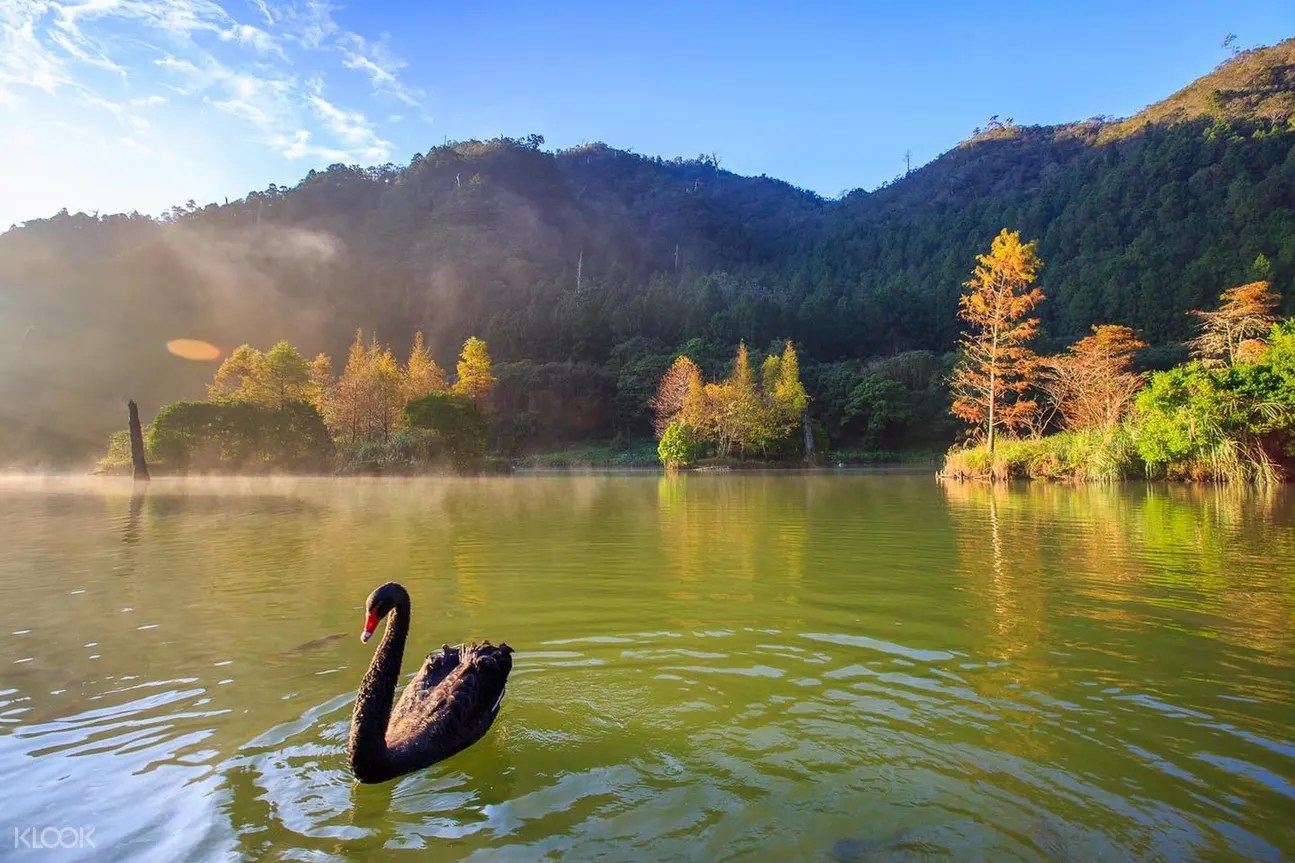 明池森林游乐区门票