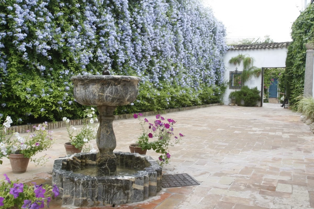 科尔多瓦维亚纳宫门票