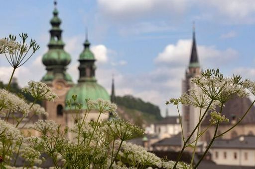 萨尔斯堡寻宝游戏＆城市徒步观光之旅