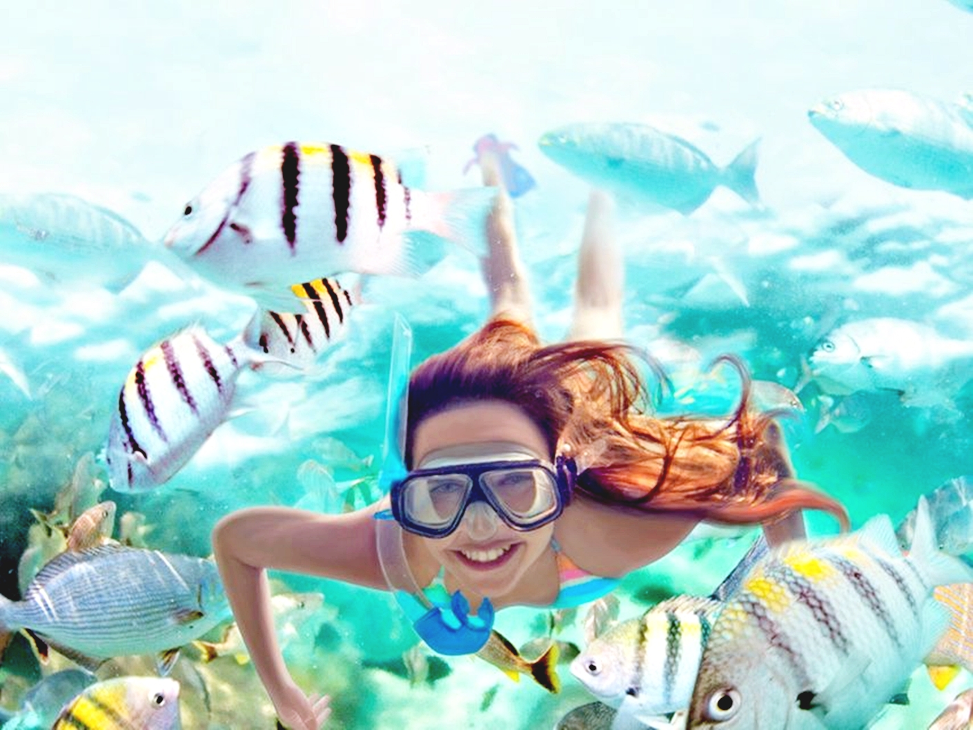 橙湾一日浮潜及游艇之旅