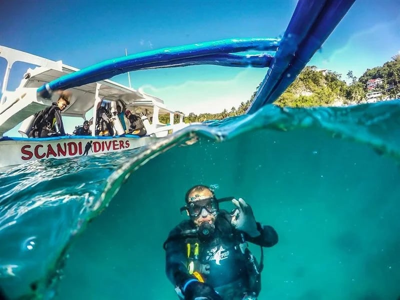 加利拉港潜水体验（PADI五星级潜水中心）