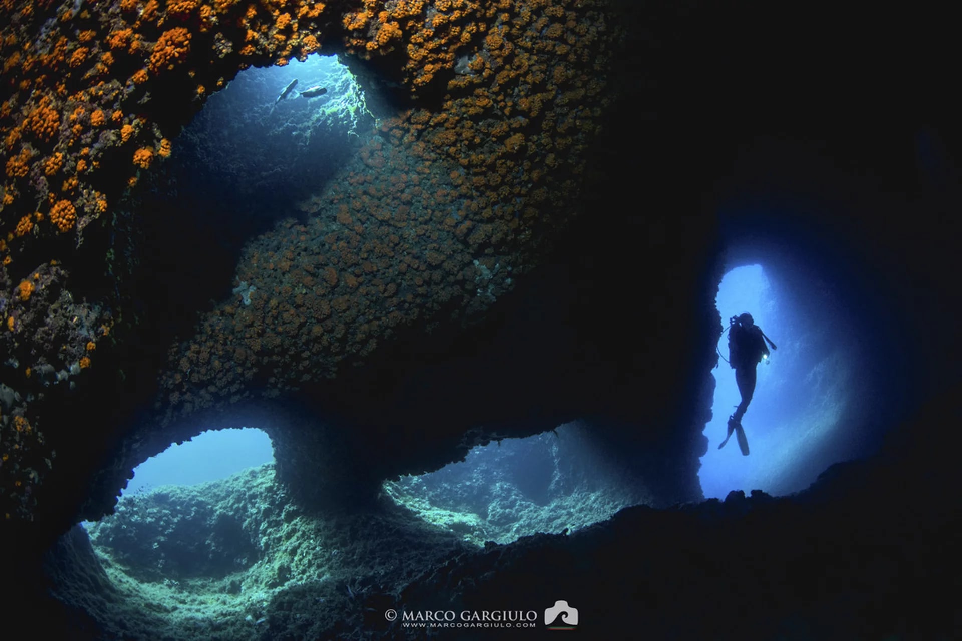 海边技能：索伦托 PADI 中心的开放水域潜水员课程