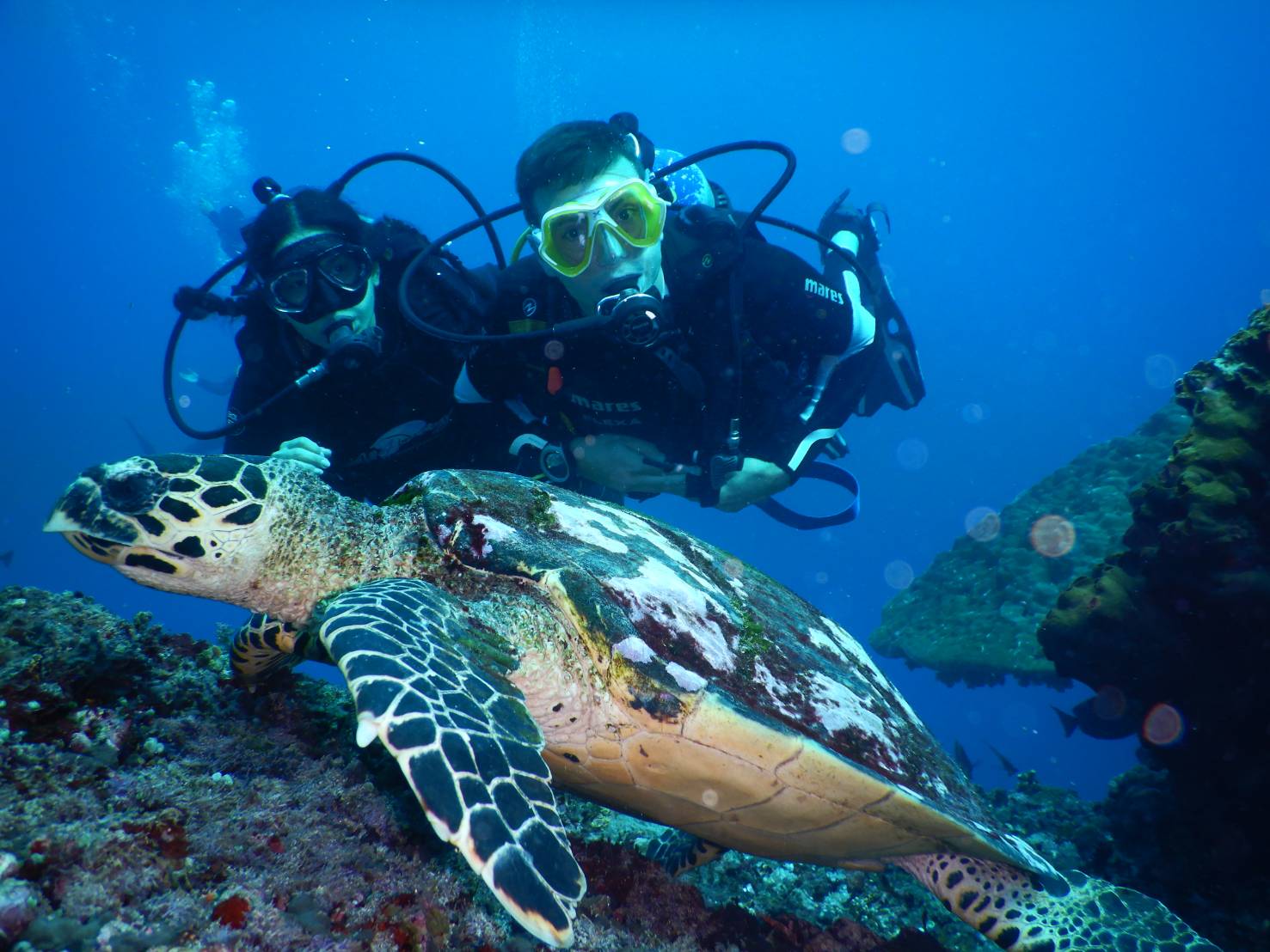 八丹拜巴库 PADI 五星潜水中心潜水体验