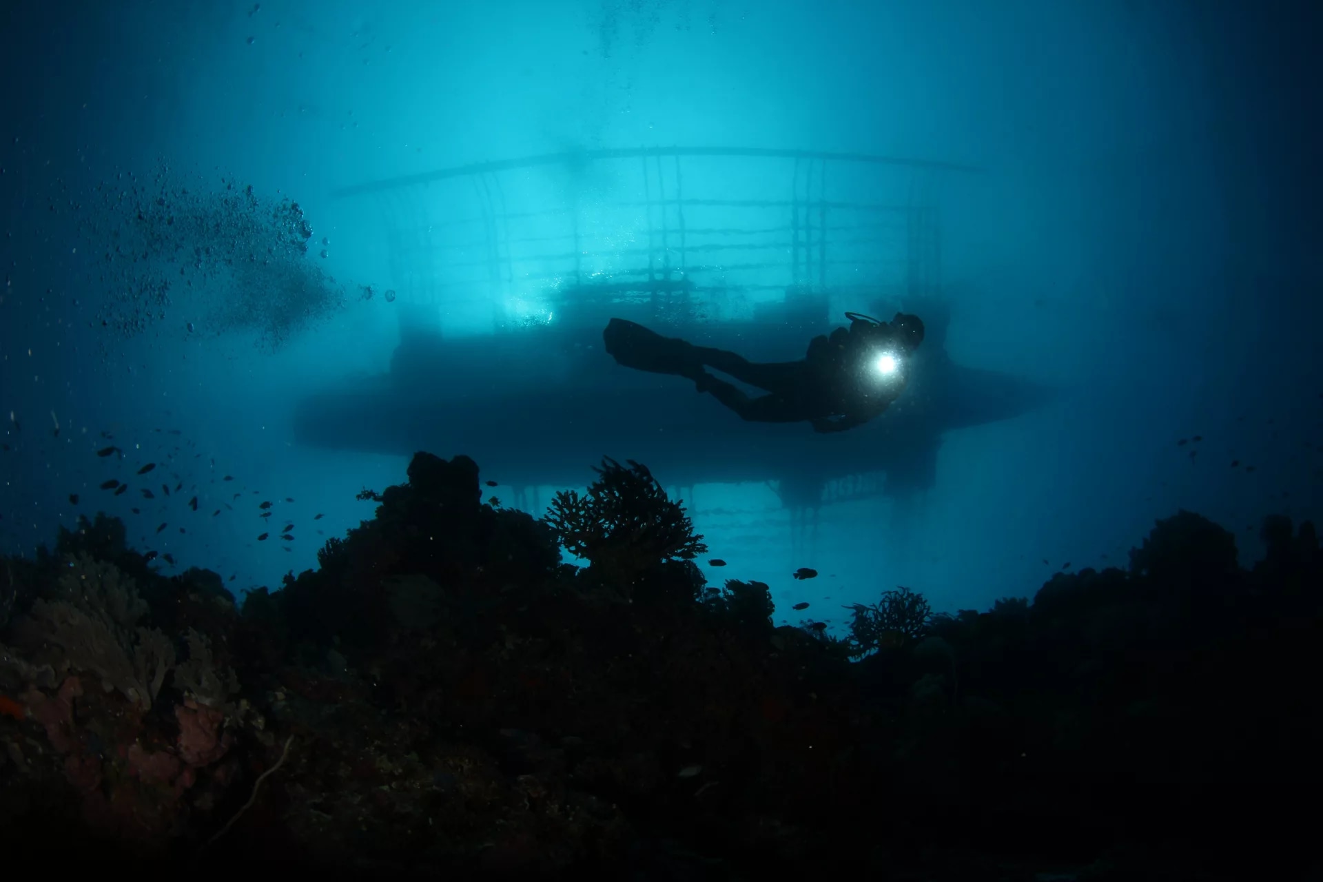 加莱拉港 PADI 五星潜水中心潜水体验（4天）