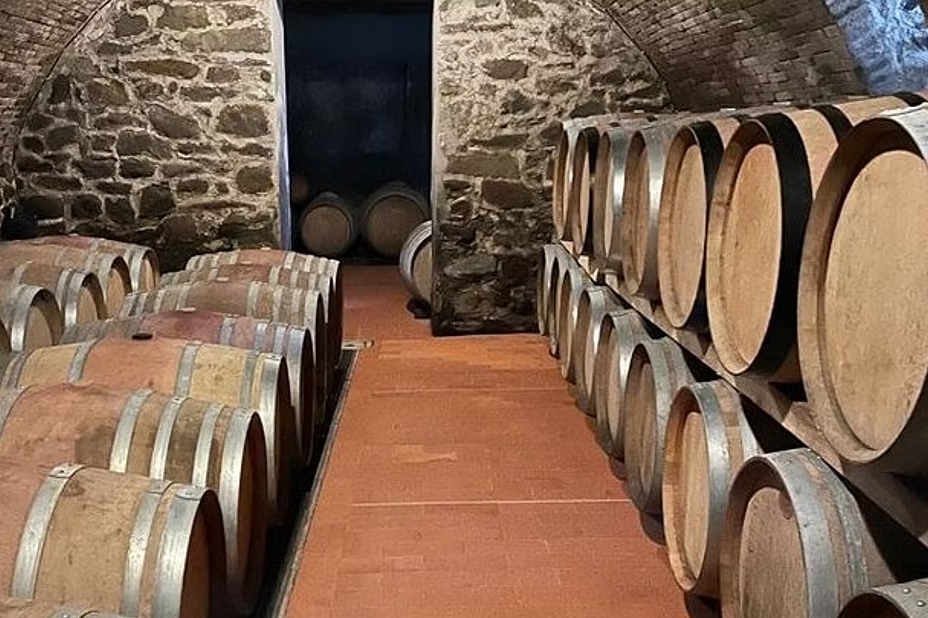 奇扬地葡萄园半日游（佛罗伦斯出发）