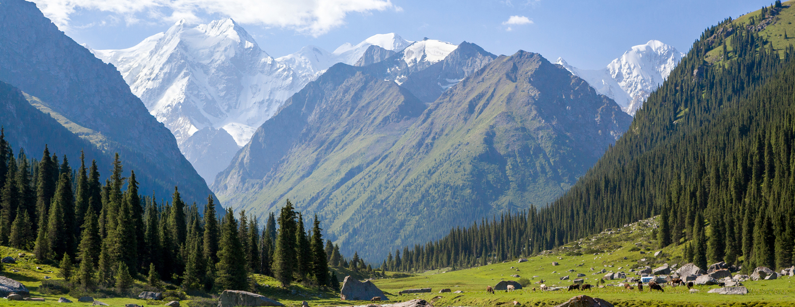 中亚吉尔吉斯斯坦7天6晚夏季旅行