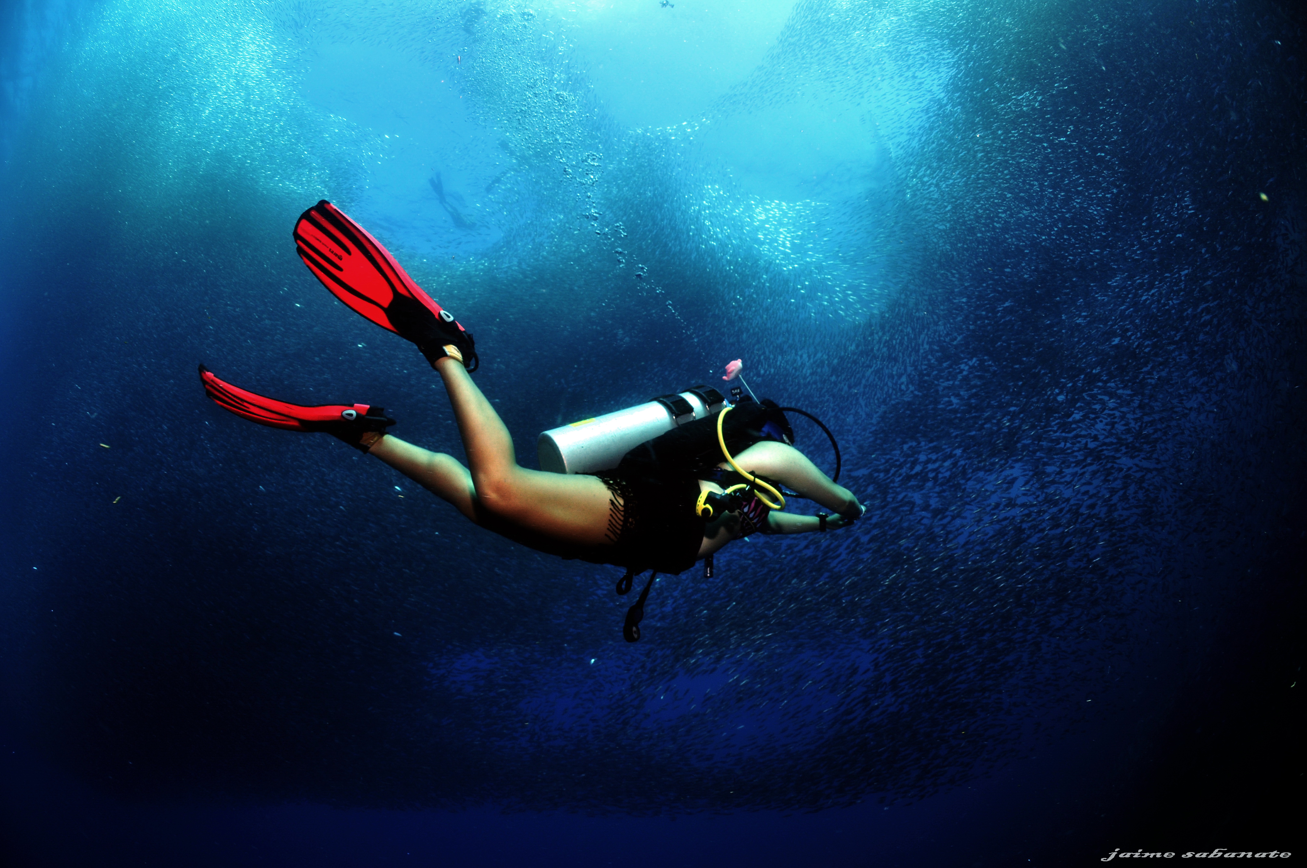 宿务PADI开放水域潜水课程（PADI五星级潜水中心）