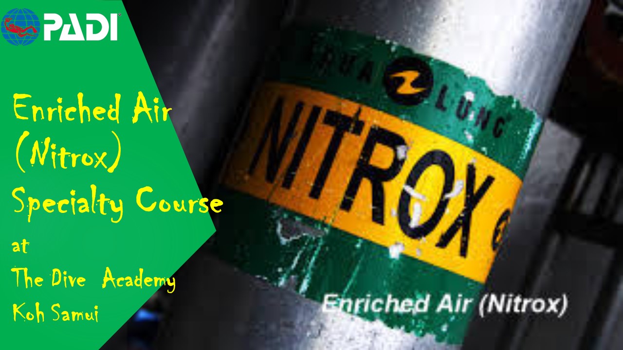 苏梅岛PADI五星级潜水中心高氧课程