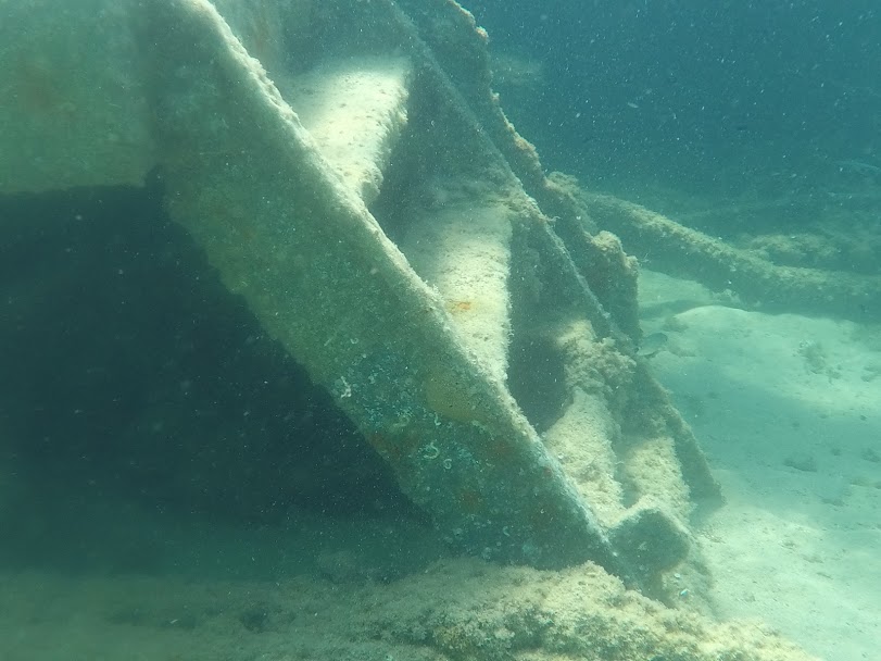 塞萨洛尼基1日 / 2日浮潜之旅（PADI五星级潜水中心）
