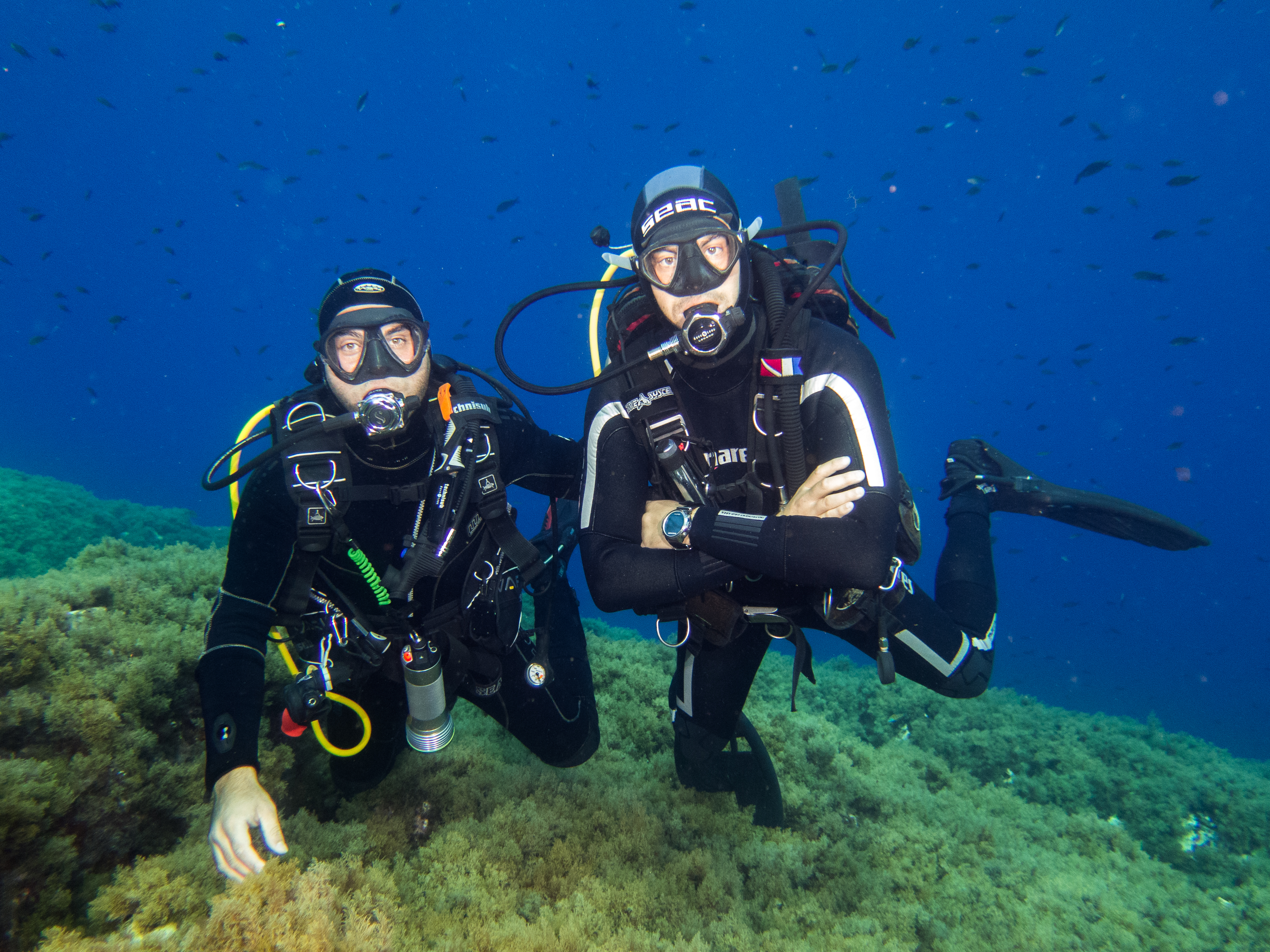 揭开卡塔尼亚的深度：与 PADI 中心一起探索水肺潜水