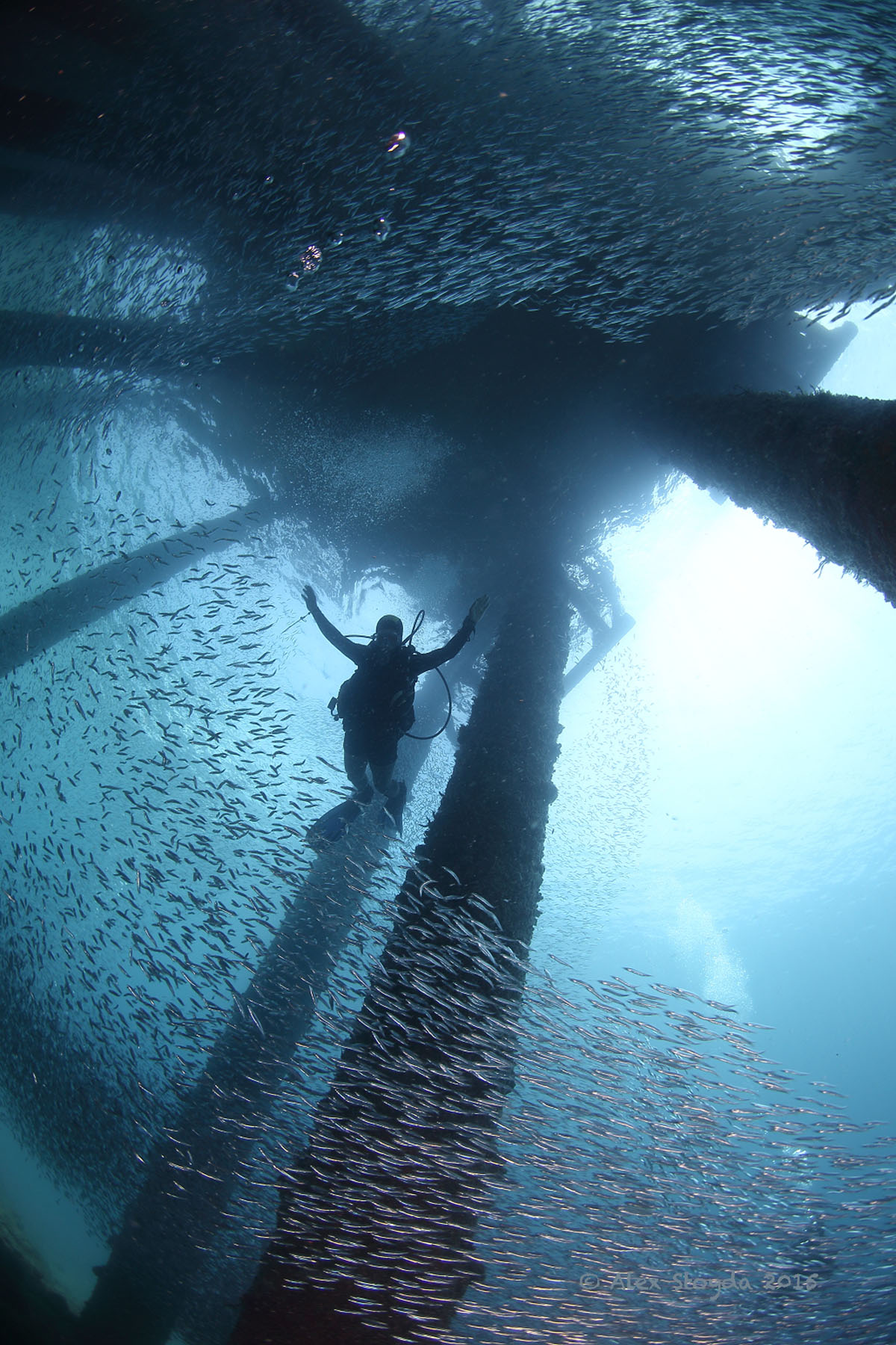 卡瓦延PADI进阶开放水域潜水体验（PADI五星级潜水中心）