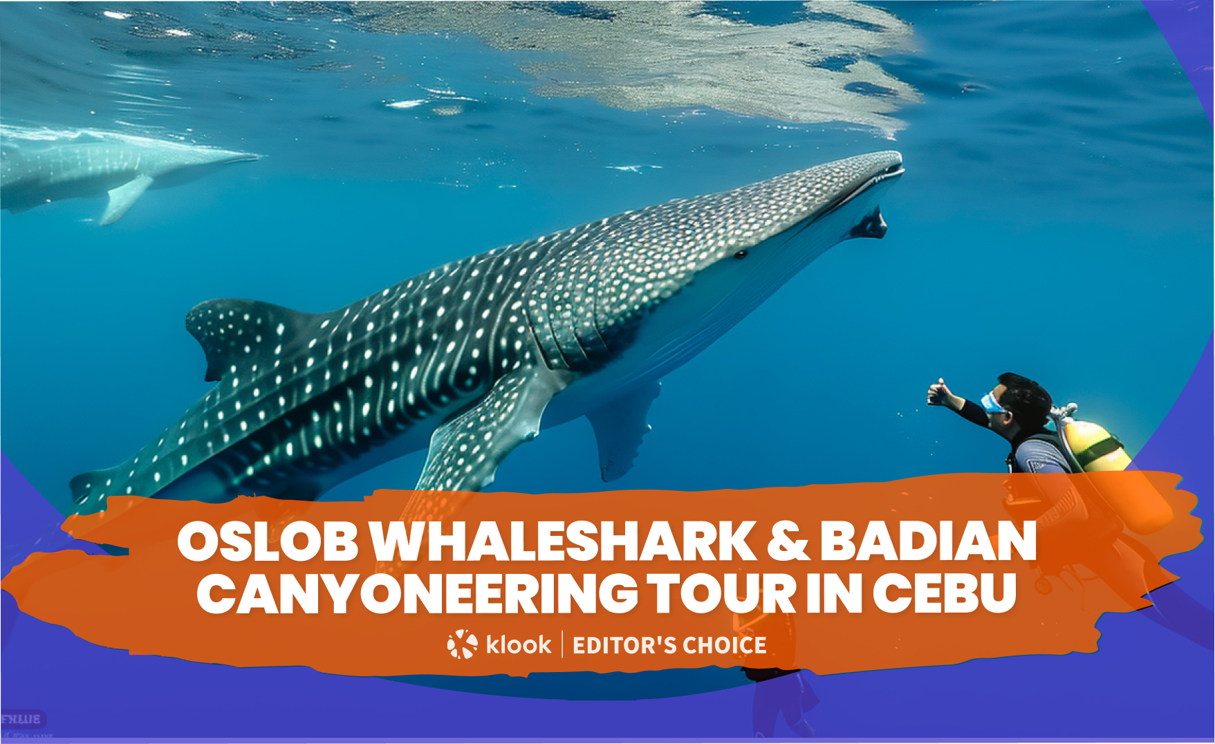 宿雾欧斯陆赏鲸鲨＆巴迪安溪降之旅