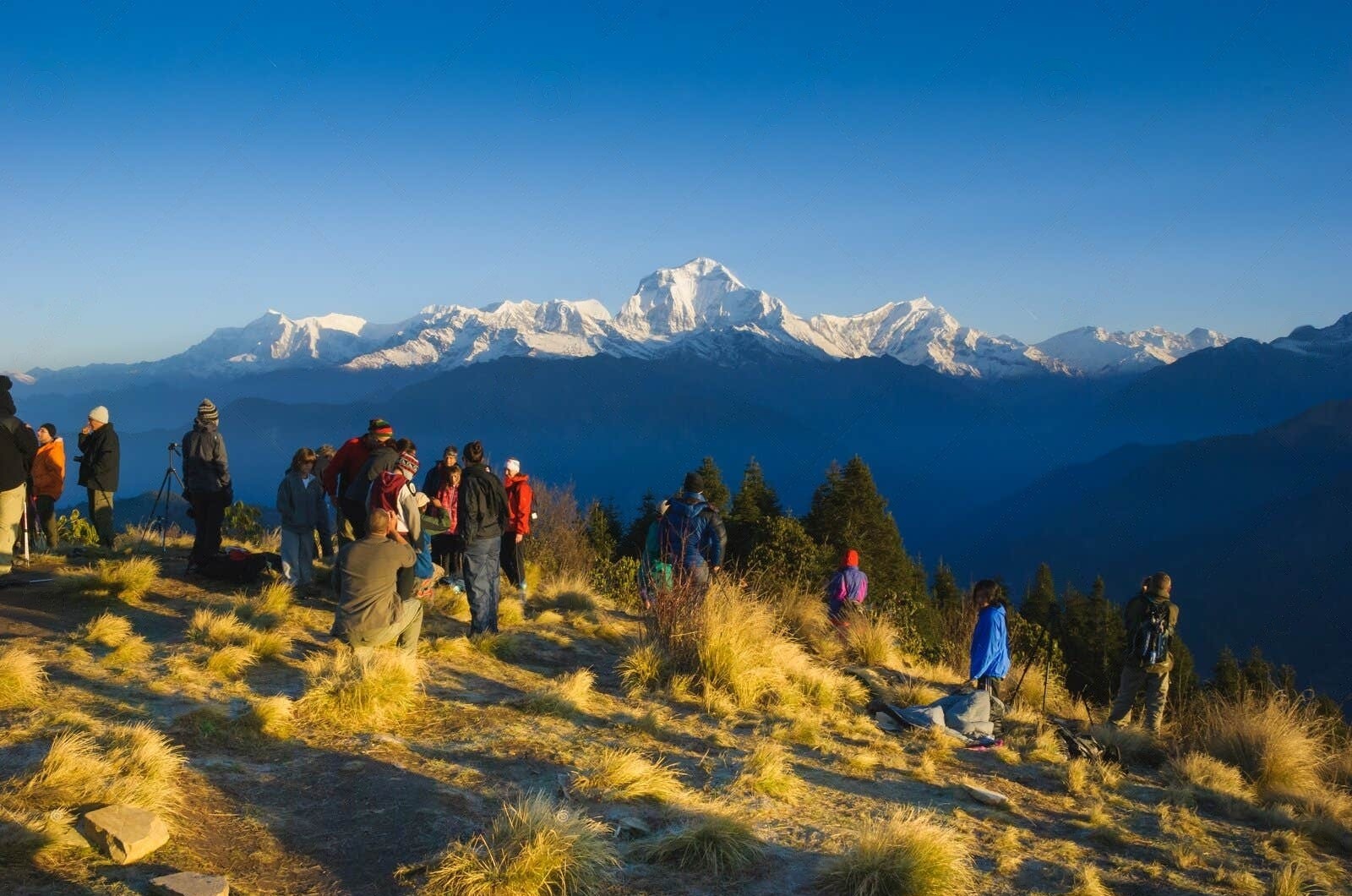 4天3夜 Ghorepani poonhill徒步之旅（博卡拉出发）