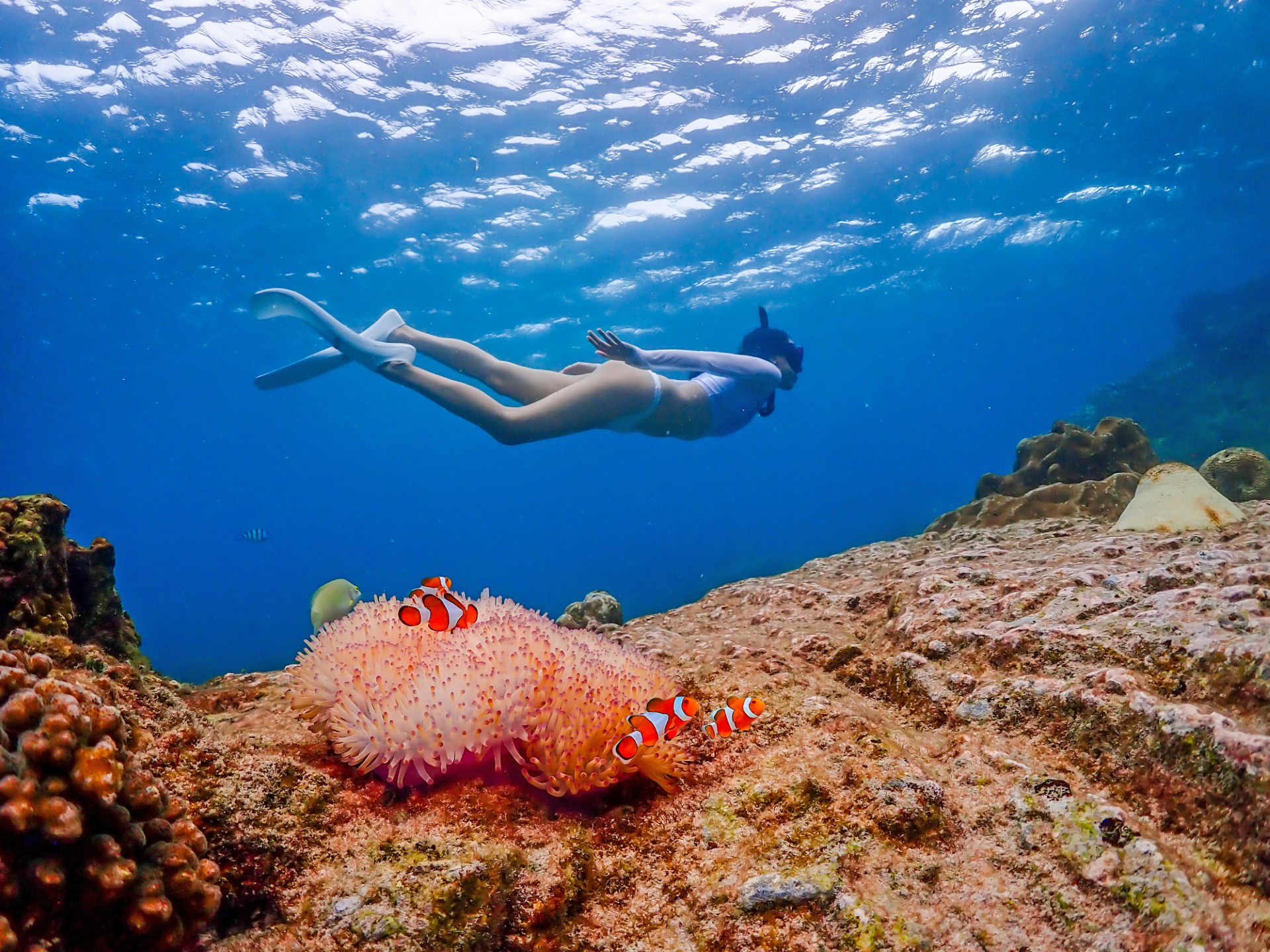 尼莫岛体验（含无人机照片 & 午餐）- 曼谷出发