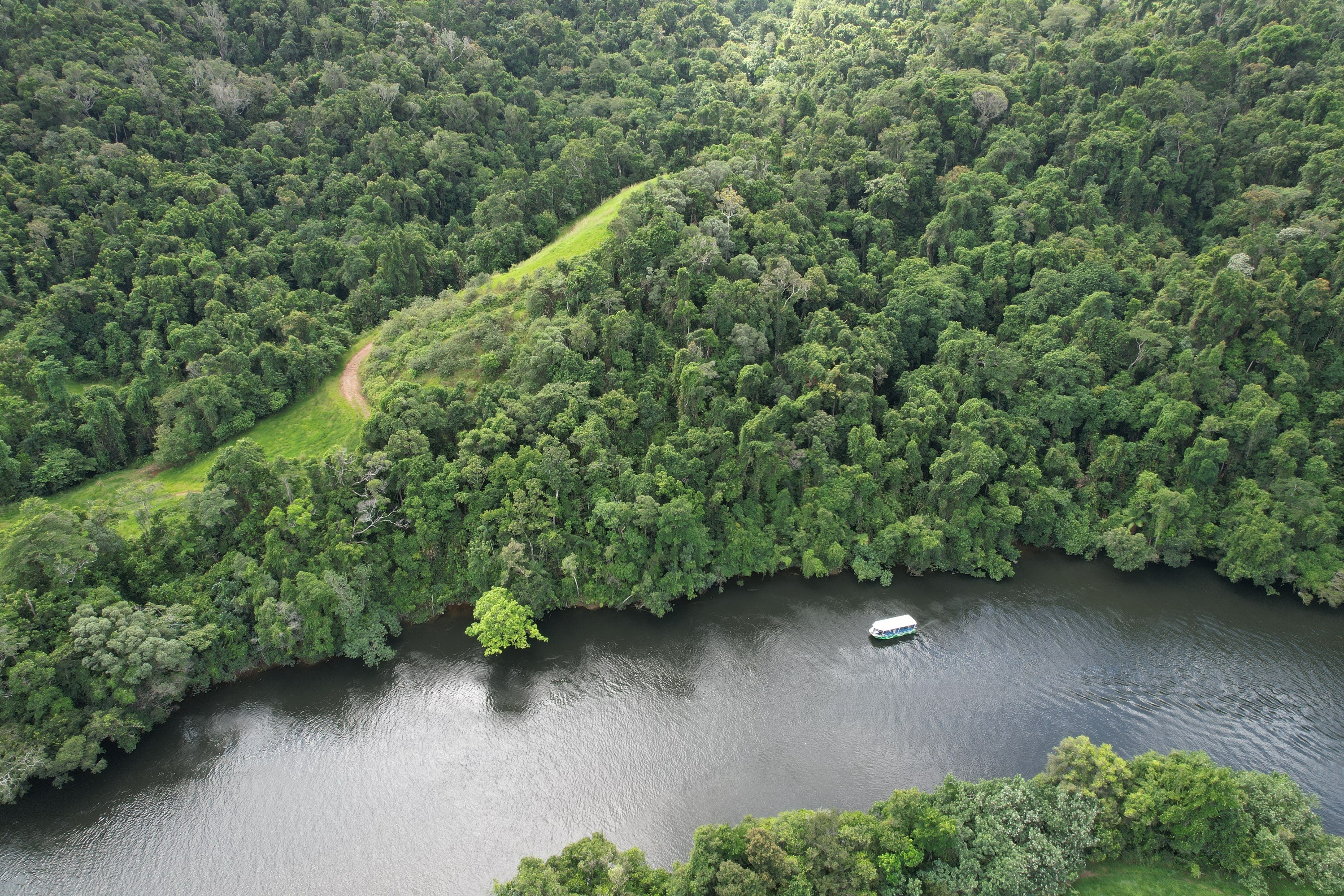 大丹翠野生动物巡游