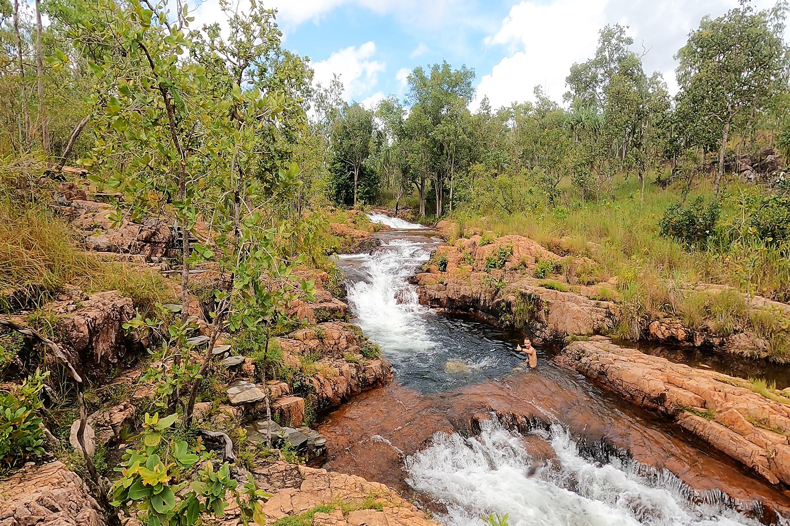 利奇菲尔德小团一日游（达尔文出发）
