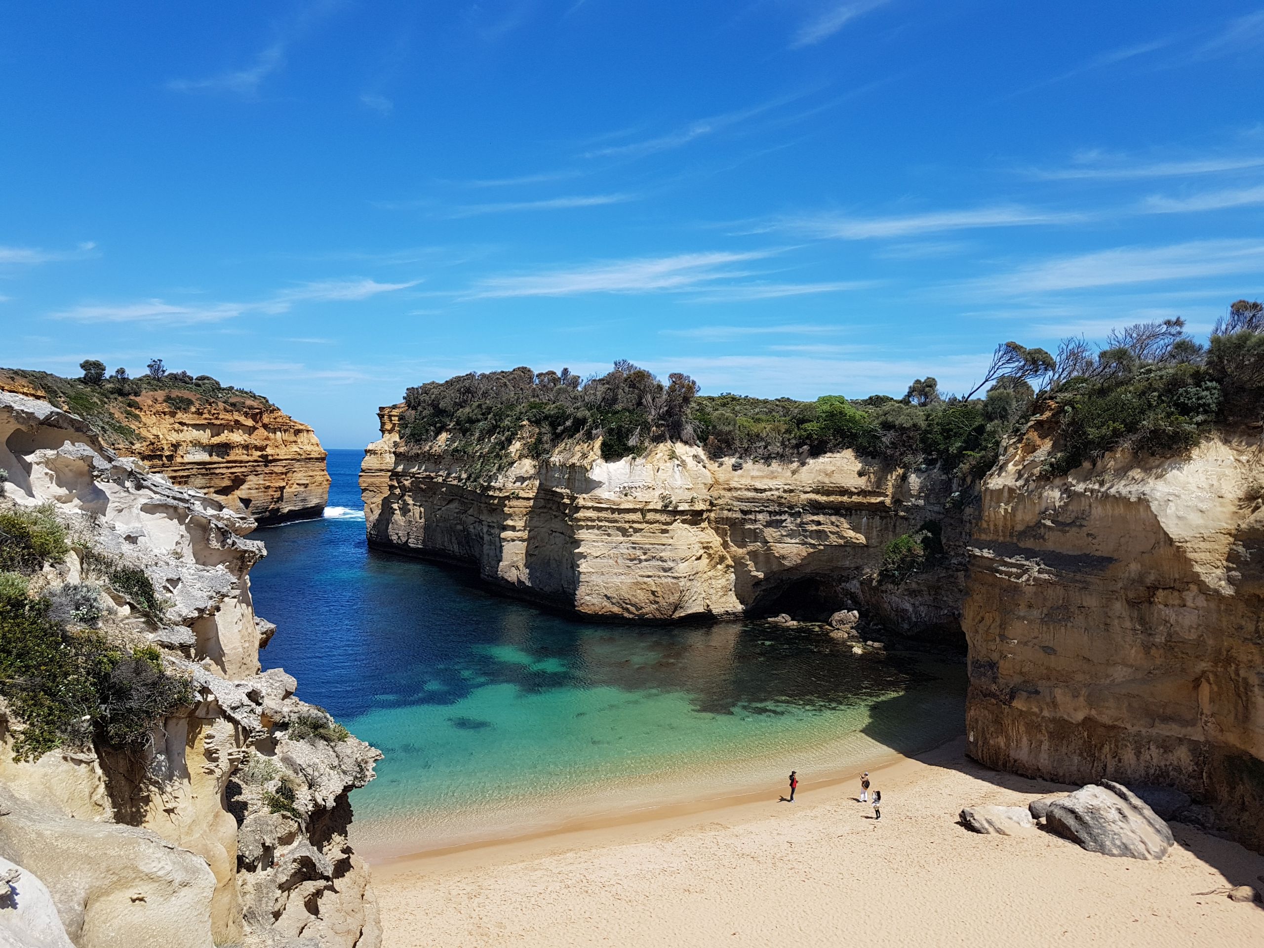 大洋路海岸景观 & 野生动物豪华巴士之旅