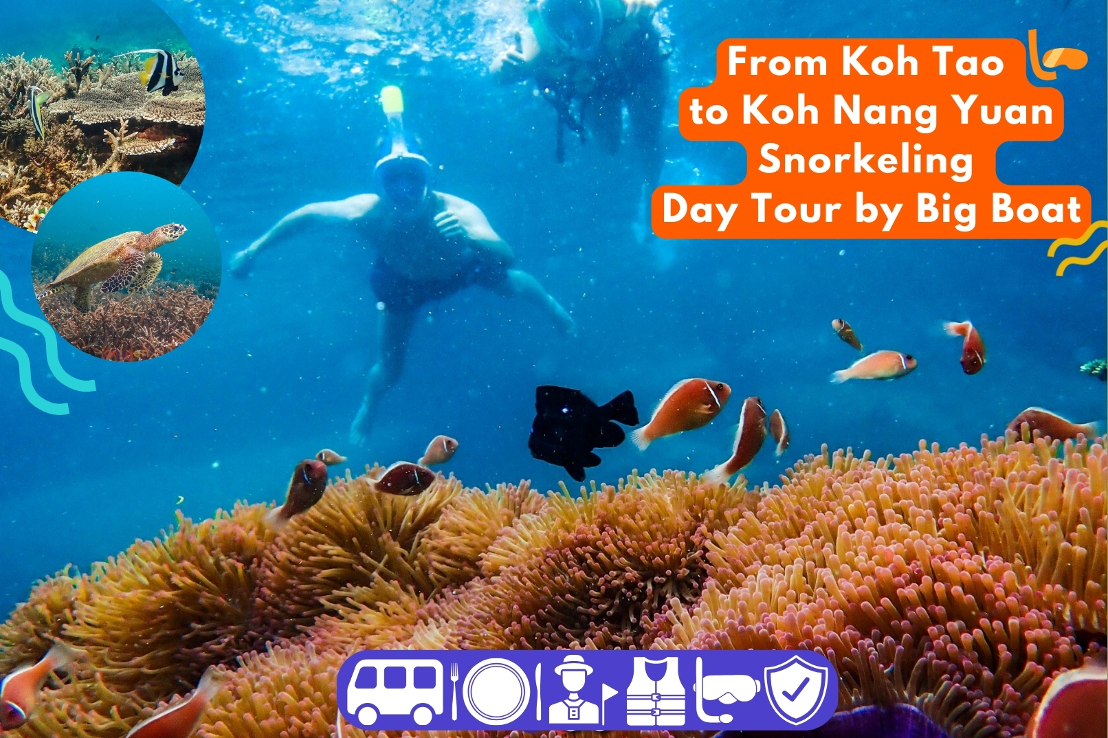 南园岛浮潜一日游（涛岛出发）