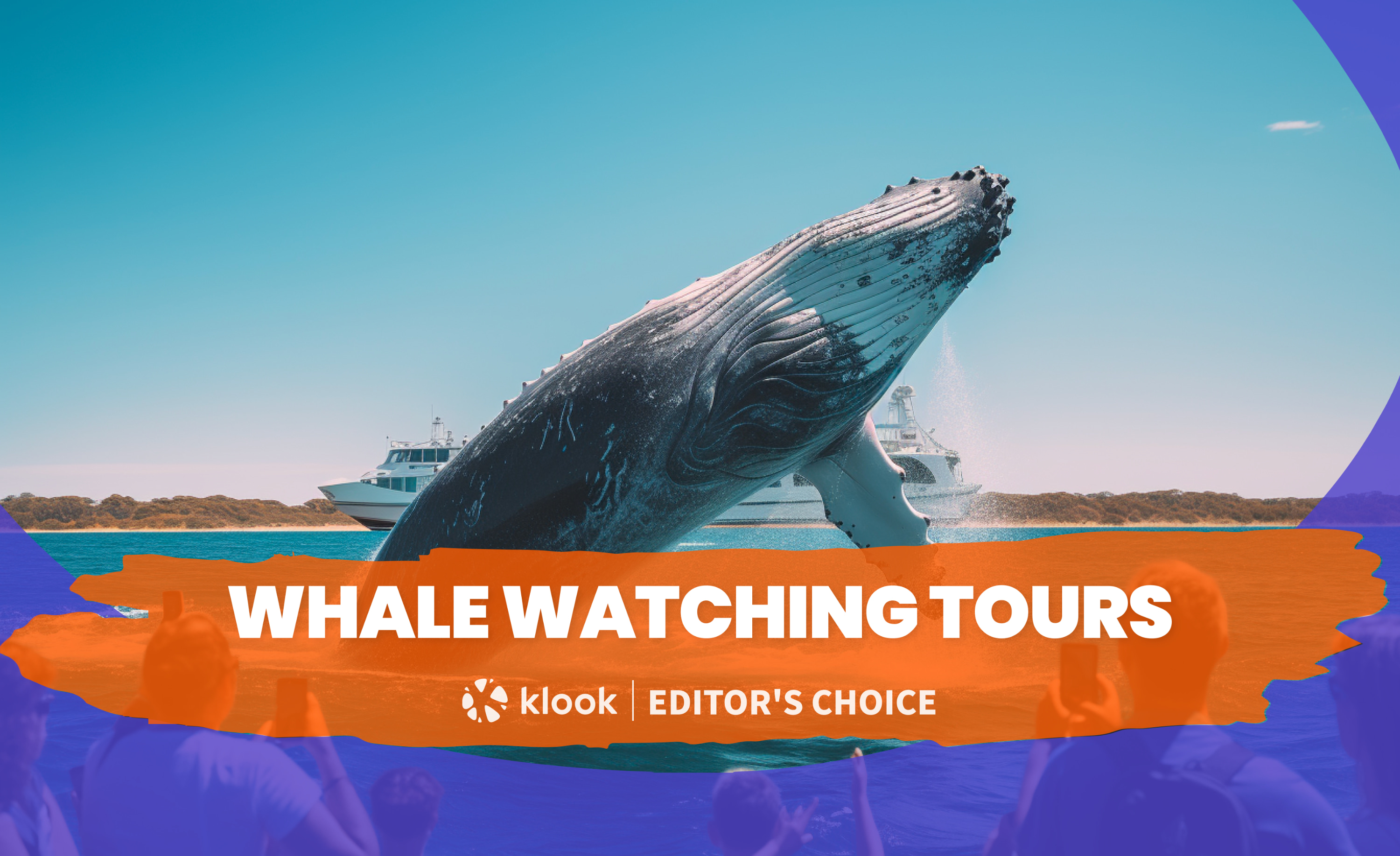 澳洲赏鲸体验（伯斯＆玛格丽特河出发）