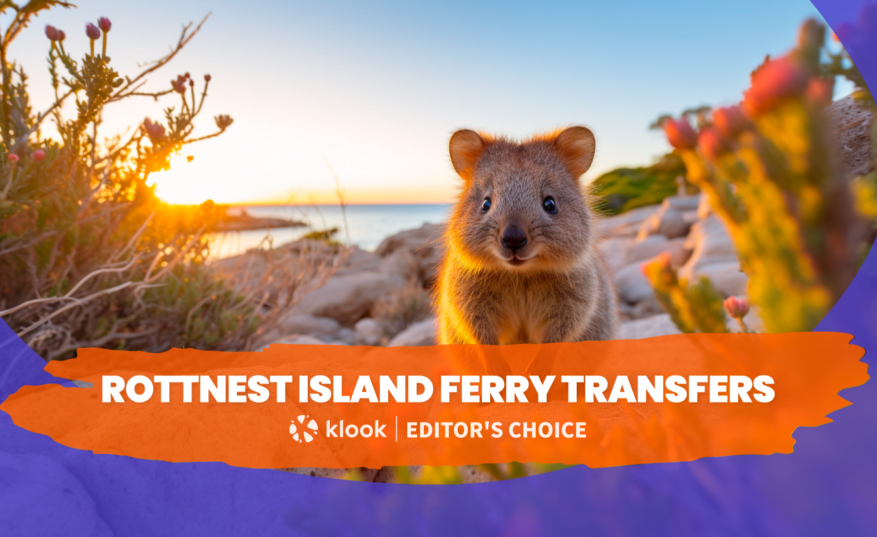 罗特尼斯岛 (Rottnest Island) 渡轮接送