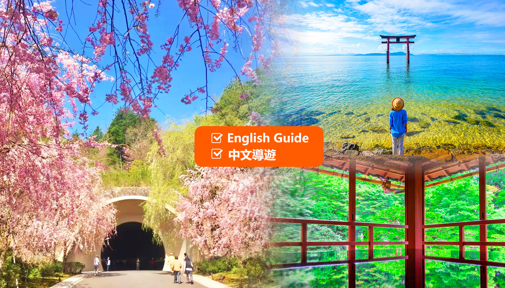 琵琶湖＆白须神社＆美秀美术馆＆旧竹林院一日游｜大阪／京都出发