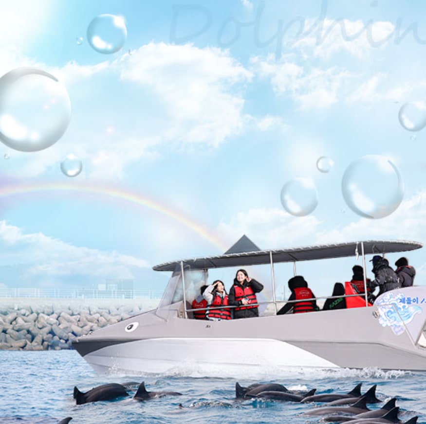 HAMO 喷射快艇海豚观赏之旅