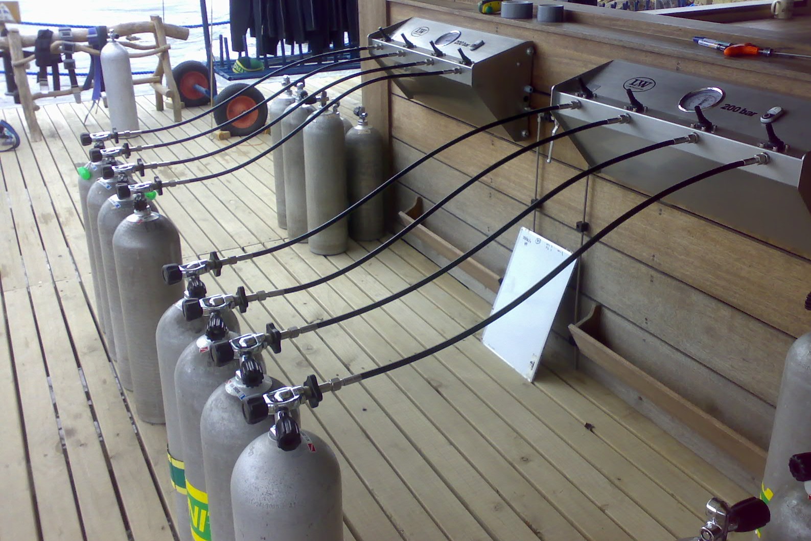 加莱拉港PADI高氧潜水体验（PADI五星级潜水中心）