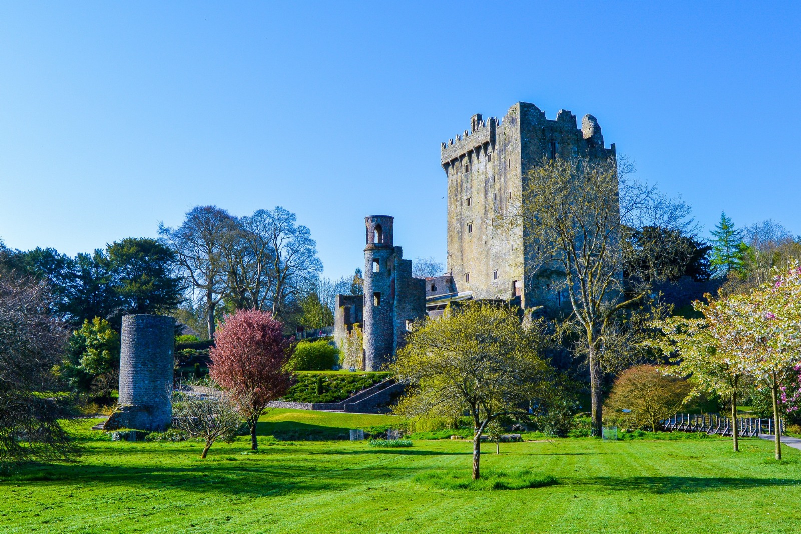 布拉尼城堡 & 科克一日游（都柏林出发）